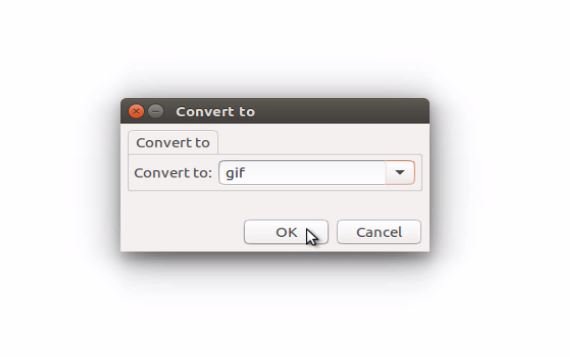 gif_conversion