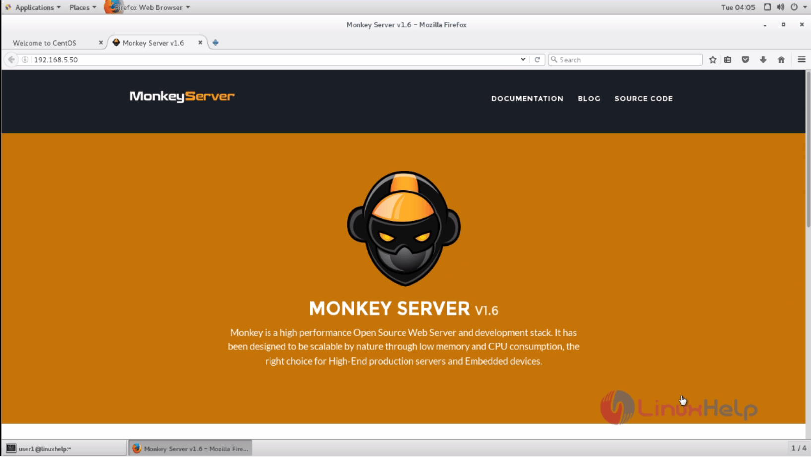 monkey_server_index_page