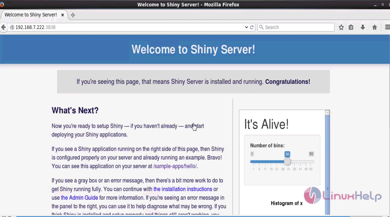 shiny server