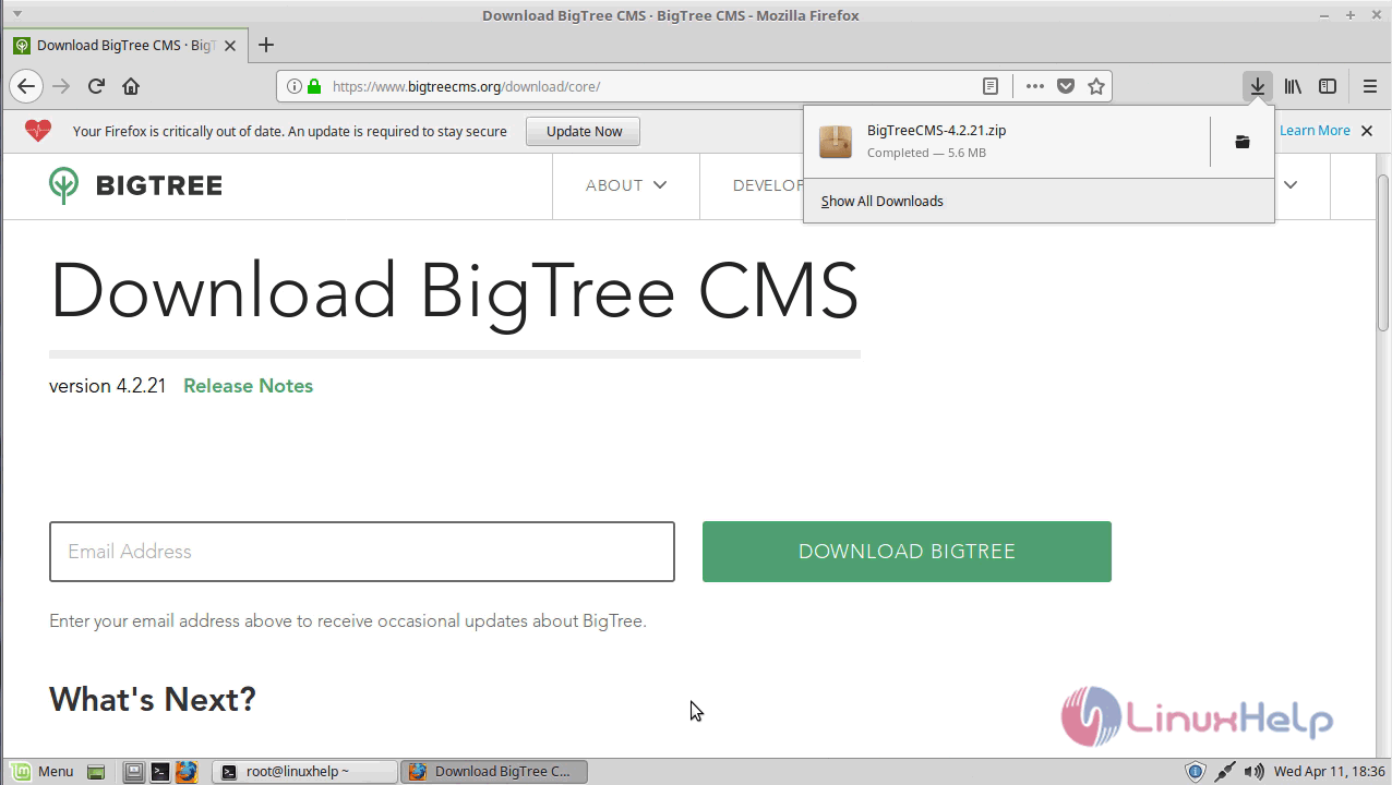 bigtree_download