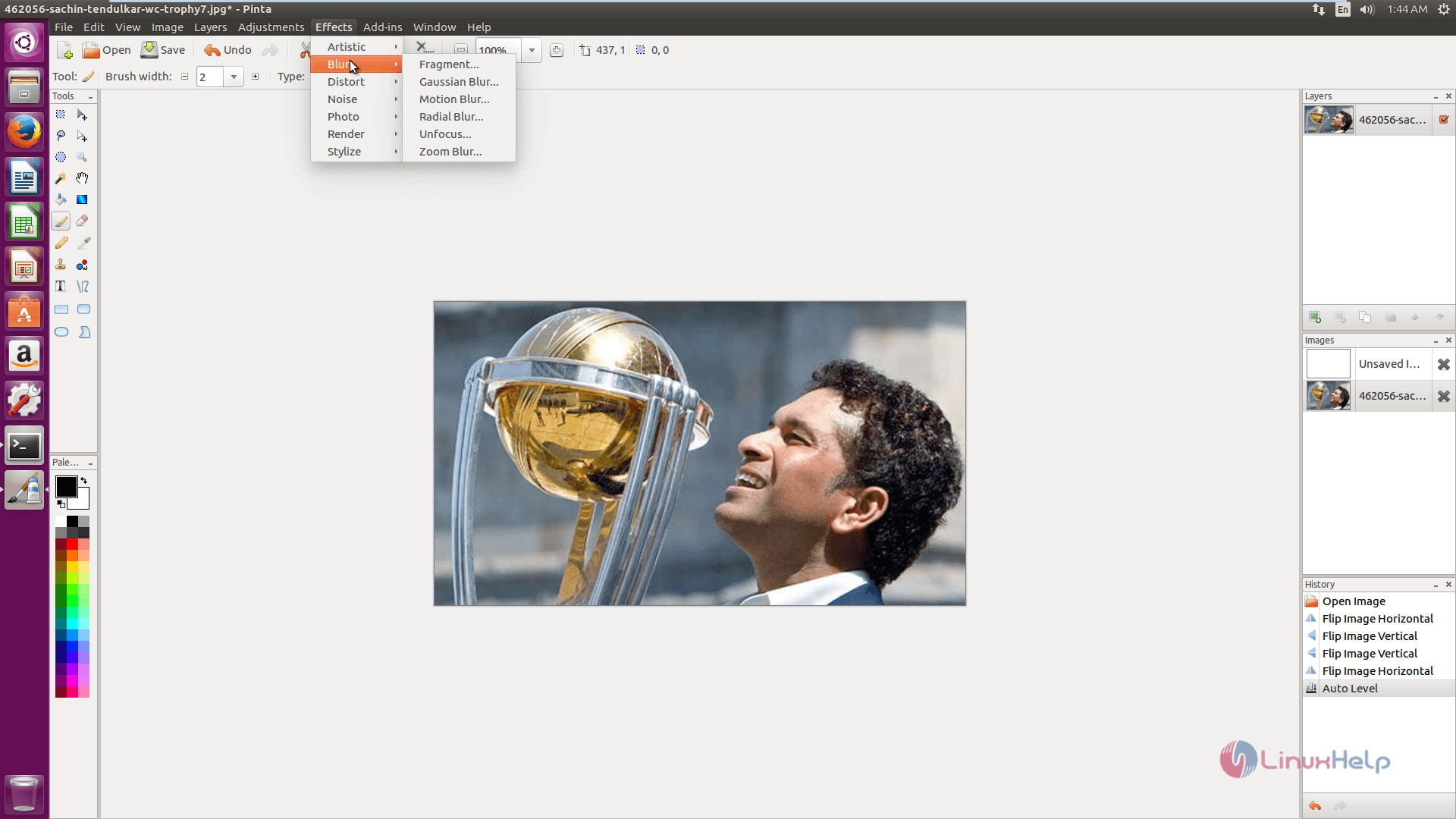 install-Pinta-image-editor-animation-effects-Ubuntu16.04-Other-Effects