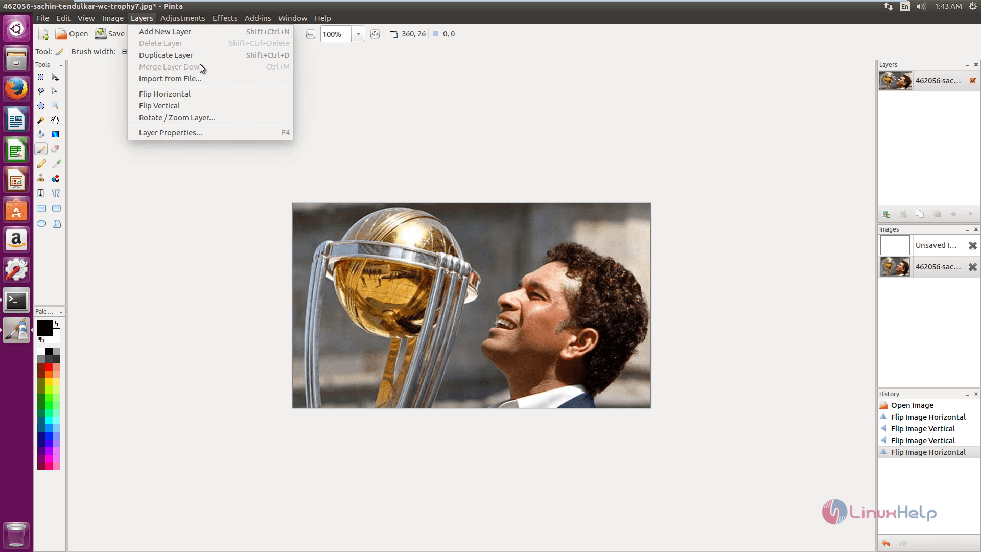 install-Pinta-image-editor-animation-effects-Ubuntu16.04-duplicate-layer