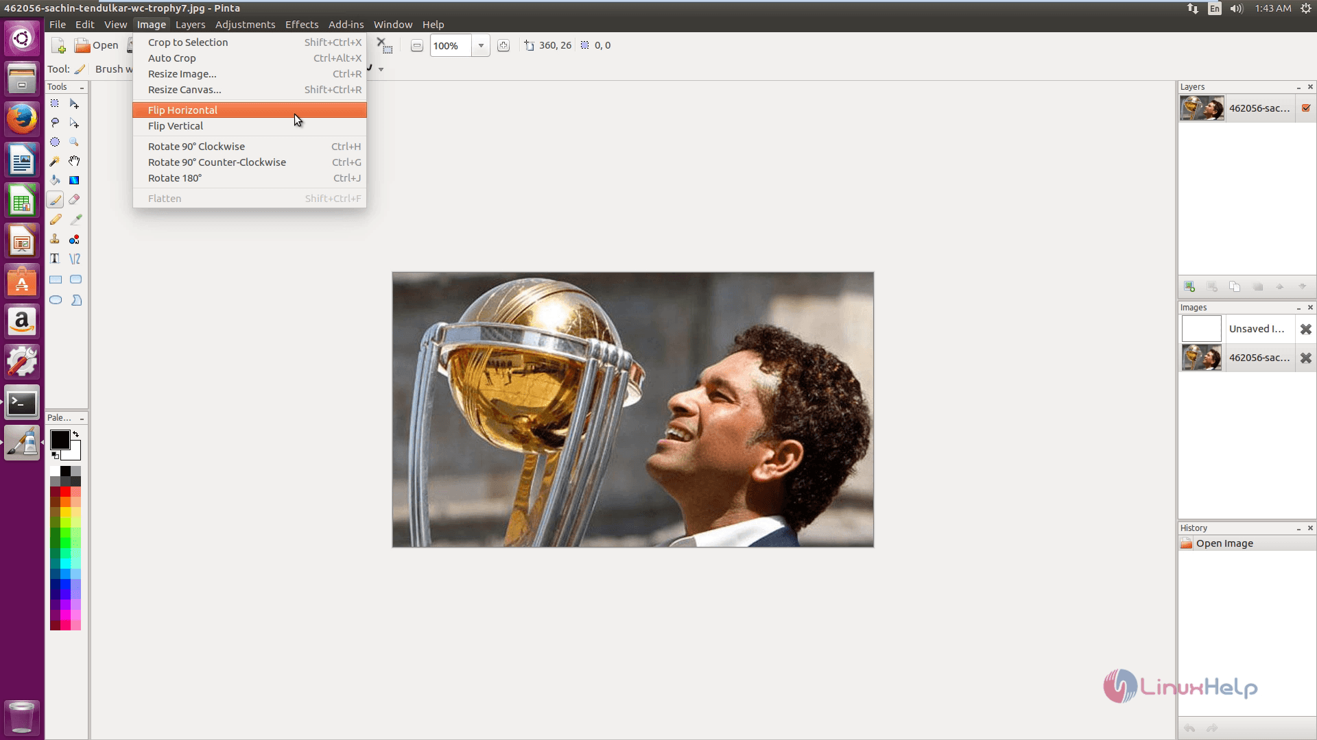 install-Pinta-image-editor-animation-effects-Ubuntu16.04-Flip-Horizontal