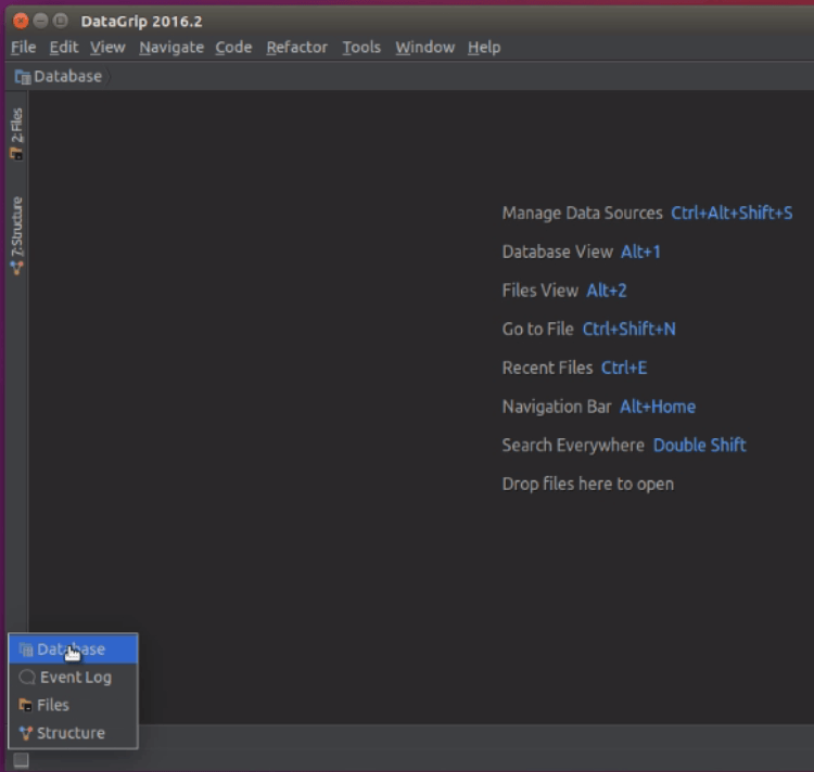 Installation-DataGrip-multi-engine-database-environment-Ubuntu-16.04-panel-view 