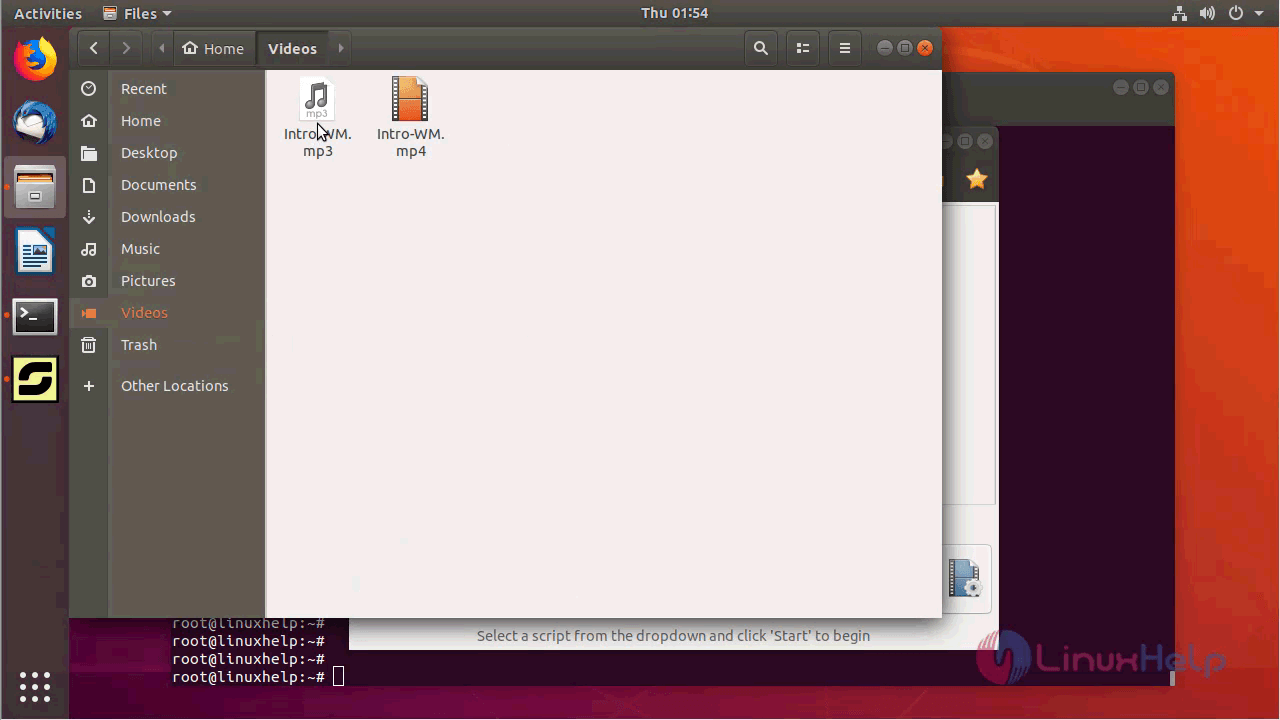 install selenium in ubuntu