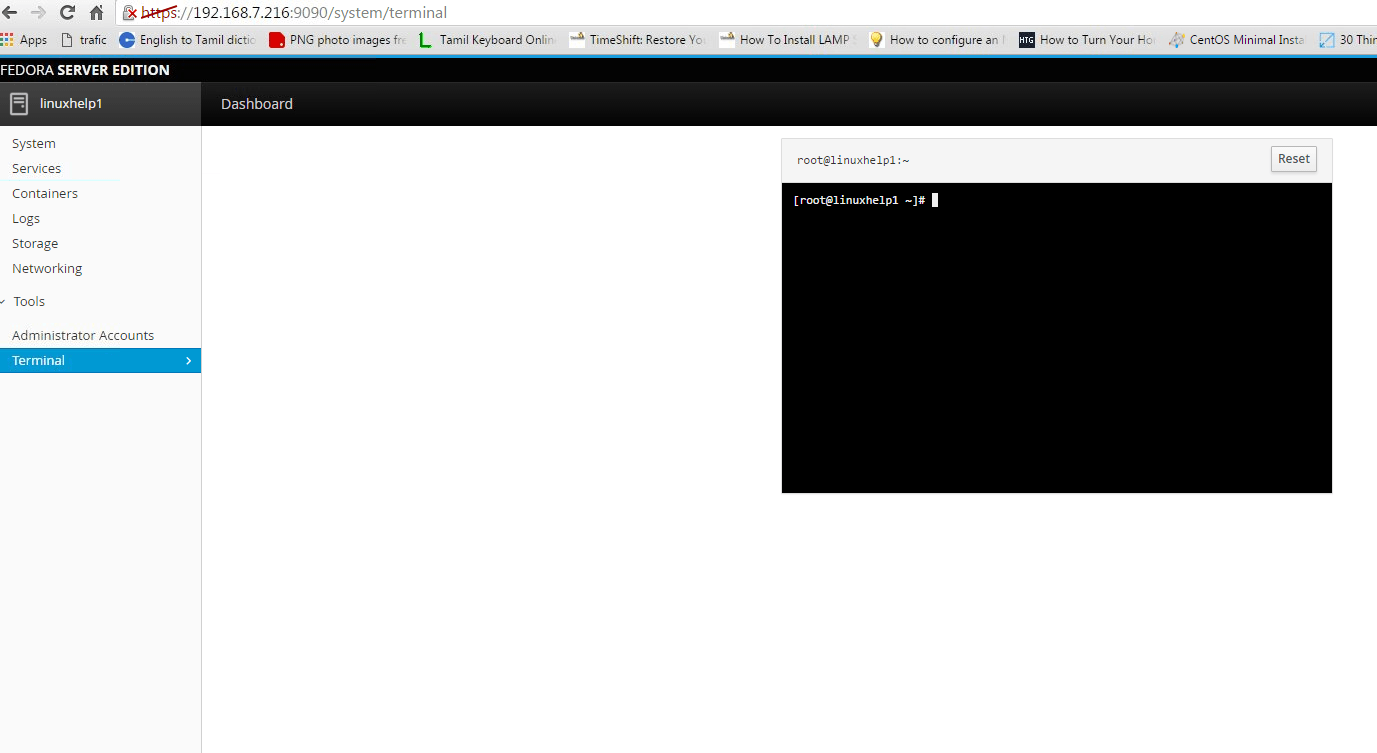 web terminal