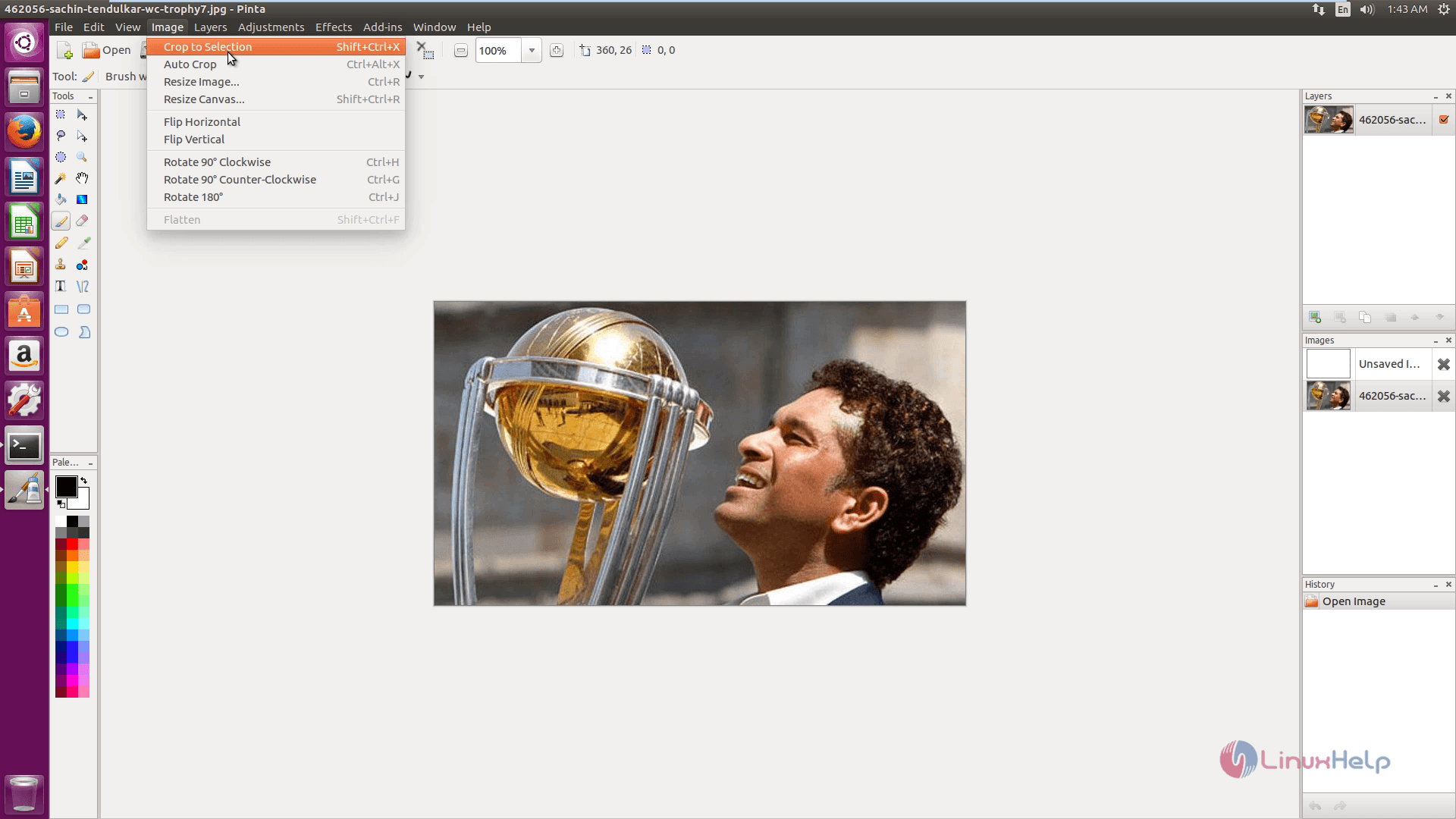 install-Pinta-image-editor-animation-effects-Ubuntu16.04-Crop-selection 