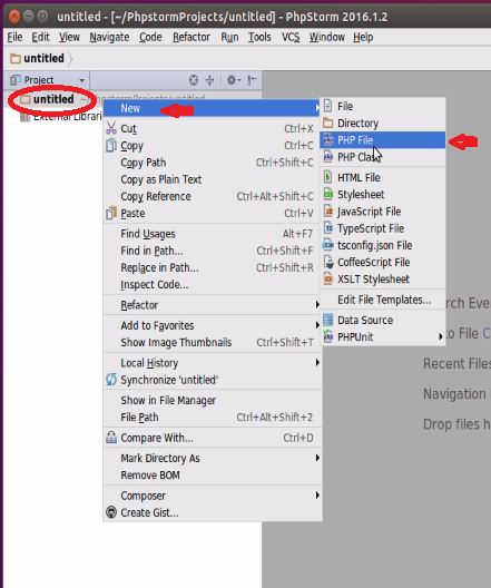 installation-PhpStorm-IDE-for-PHP-developers-Ubuntu-16.04-untitled-project